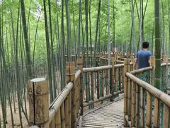 -陶祖圣境风景区