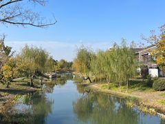 -广富林郊野公园