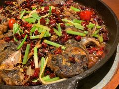 -老板恋上鱼(高新万达店)