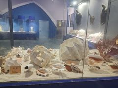 -福州罗源湾海洋世界旅游区