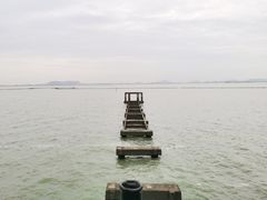 -贡湖湾湿地公园