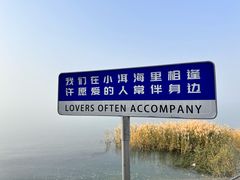 -观澜小洱海