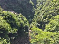 -磐安舞龙峡景区