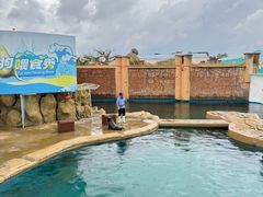 -秦皇岛乐岛海洋王国