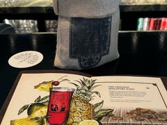 -Long Bar(莱佛士酒店)