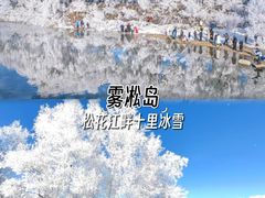 -雾凇岛