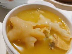 浓汤花胶鸡汤-维园悦谱·海派家常菜(乌鲁木齐南路店)