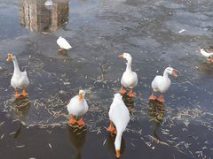 -迎泽公园