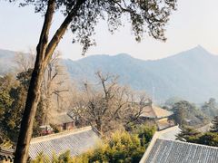 -潭柘寺景区