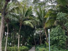 -深圳湾公园(南山区)