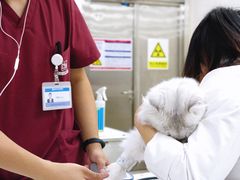 -美联众合动物医院·24h转诊中心