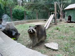 -青藏高原野生动物园