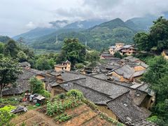 -杨家堂村