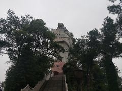 -大金鹰园