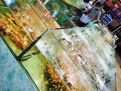 水产区-聚鲜阁海鲜美食城(香水湾店)