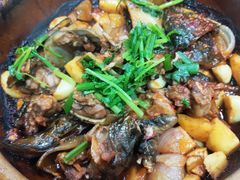 啫啫小甲鱼-金龙·打边炉(武进路店)