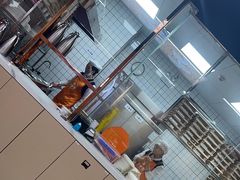 -饺小吉(T11店)