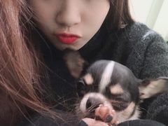 -藦茜花园宠物主题亲子互动体验馆(国顺东路店)