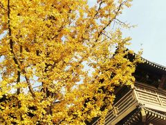 -香积寺