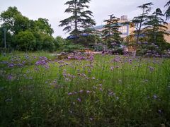 -东华大学(松江校区)