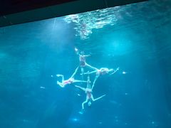 -福州罗源湾海洋世界旅游区