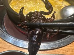 -一朵菌·野生菌探索家火锅(南亚店)
