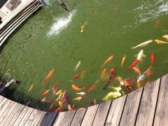 iphone_upload_pic-上海光大会展中心国际大酒店