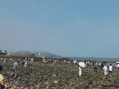 -小麦岛公园