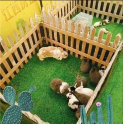 -萌宠亲子动物乐园(槐房万达店)