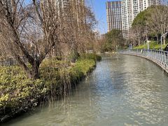 -苏州河梦清园环保主题公园