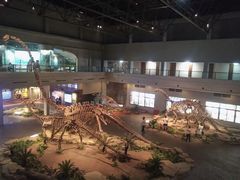 -自贡恐龙博物馆