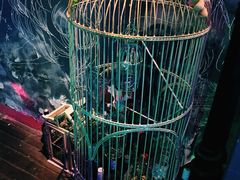 -星宿秘码(鼓浪屿老店)