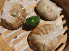 -点都德·毕德寮