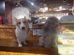 -more than meow吴止猫主题餐厅(承德 中船汇店)