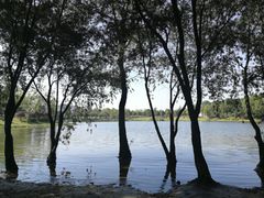 -飞来湖湿地公园