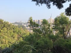 -板樟山森林公园