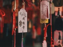 -罔极寺