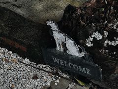 -Brew Farm·精酿农场海滨悬崖餐厅