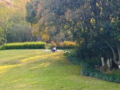 -杭州半山国家森林公园