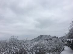 -武陵山森林公园
