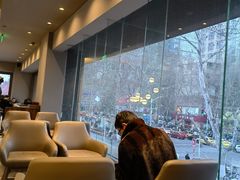 -星巴克臻选(南京艾尚天地店)