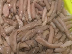 -北方饺子王·海肠捞饭·海鲜锅(山大店)