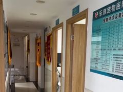 -乐琪宠物医院·犬猫专科·骨外科·急重症