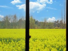 -中国天府农业博览园