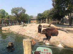 -常州淹城野生动物世界