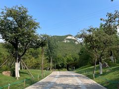 -佛慧山