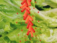 -欧阳小姐在成都(爱琴海店)