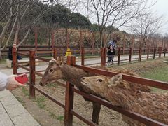 -良渚文化村