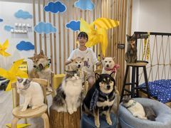 -柴迷FANS CLUB·柴犬狗咖·猫咖
