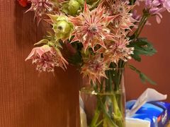 -清真·龙猫食堂(詹滨西里店)